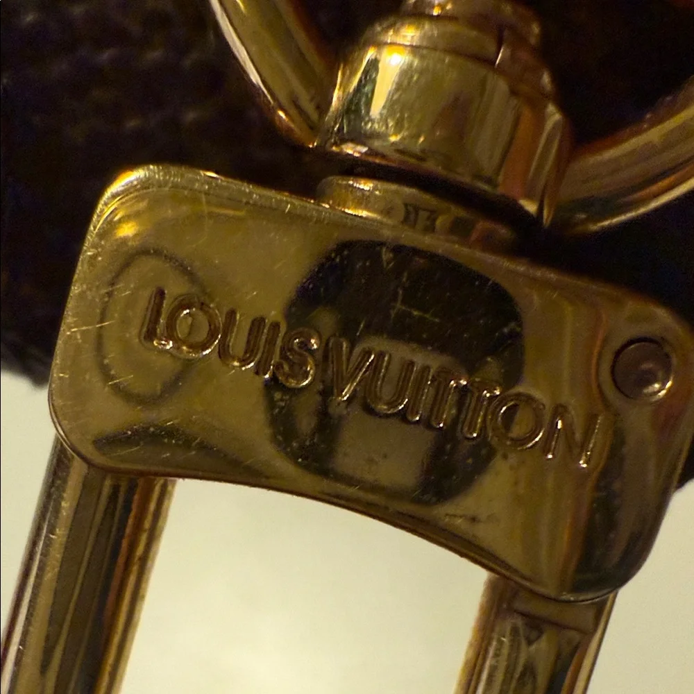 Louis Vuitton Belt Accessory / Case